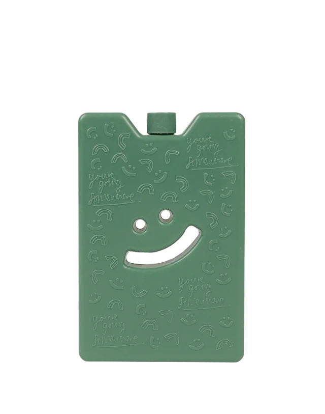 The Somewhere Co Reusable Ice Brick