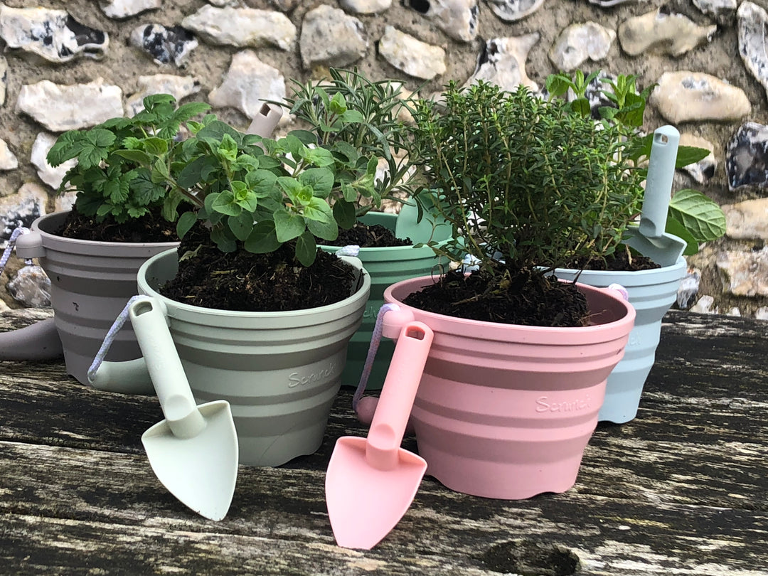 Scrunch Mini Seedling Pot and Trowel - Duck Egg Blue