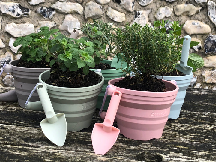 Scrunch Mini Seedling Pot and Trowel - Duck Egg Blue