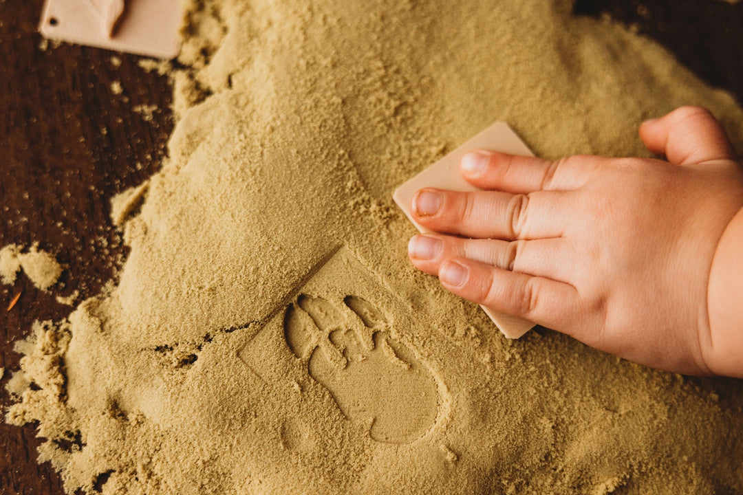 Dinosaur Foot Print Eco Stamp Set