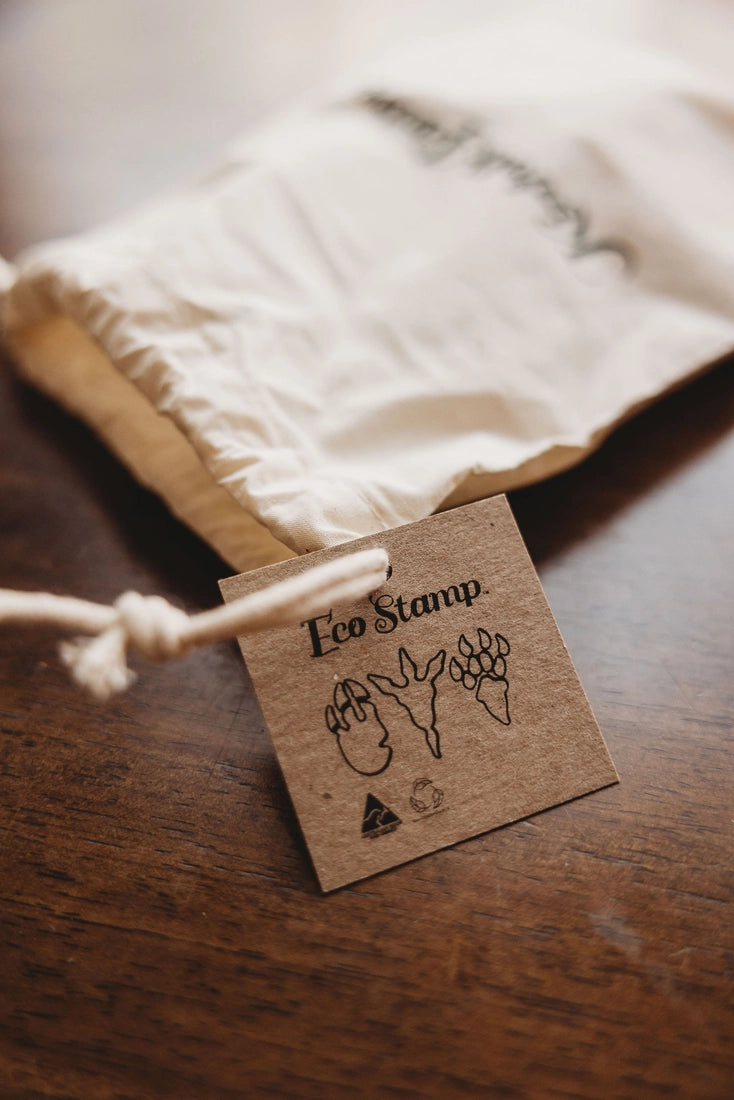 Dinosaur Foot Print Eco Stamp Set