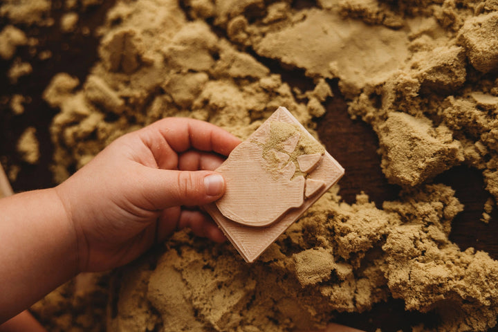 Dinosaur Foot Print Eco Stamp Set