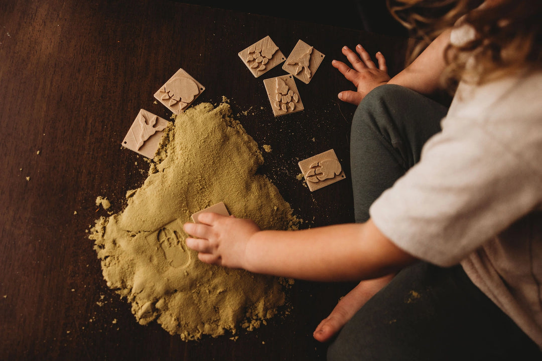 Dinosaur Foot Print Eco Stamp Set