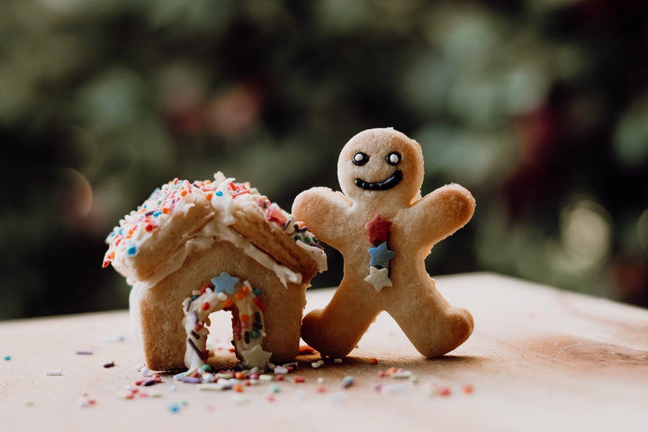 Gingerbread House Playdough/Sensory Play Eco Cutter™ Set