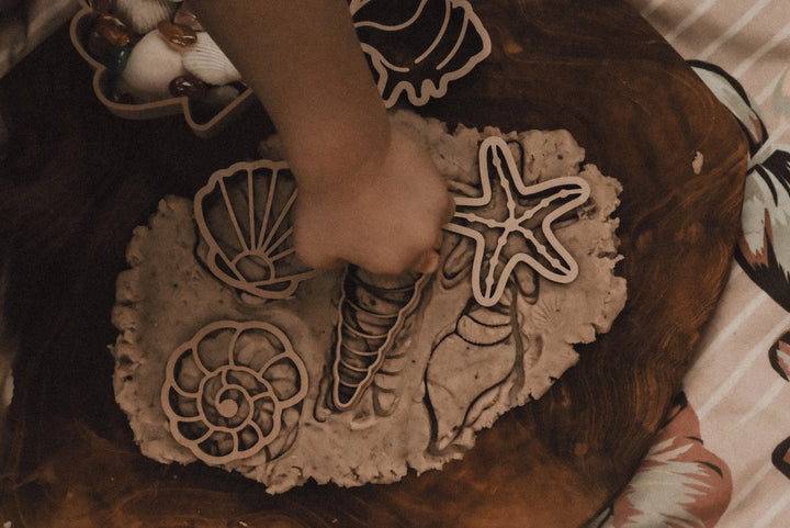 Sea Shell Playdough/Sensory Play Eco Cutter™ Set