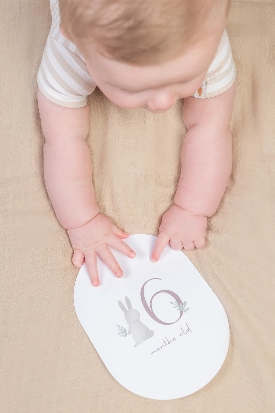 Little Dutch Baby Bunny Milestone Card Set