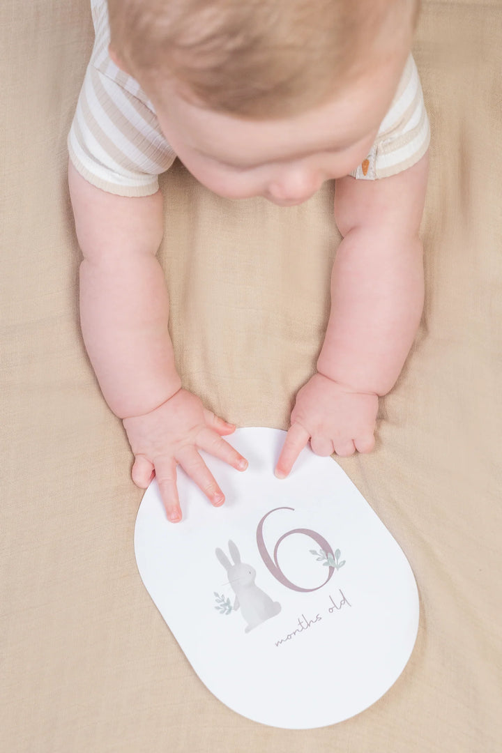 Little Dutch Baby Bunny Milestone Card Set