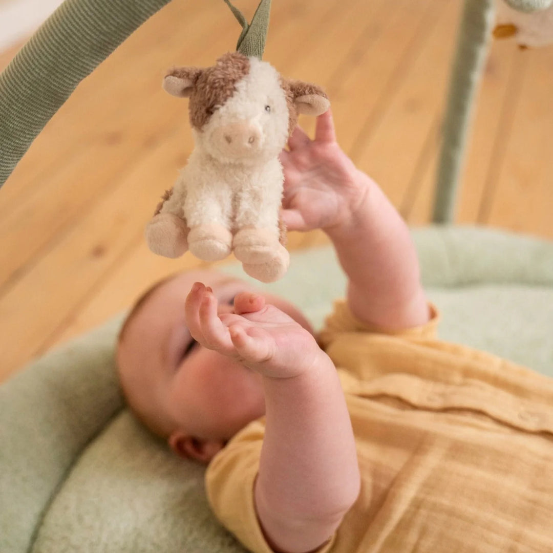 Little Farm Activity Play Mat