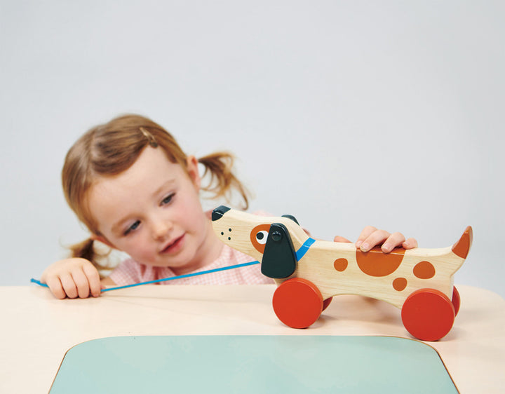 Mentari Wooden Puppy On Wheels Pull Along