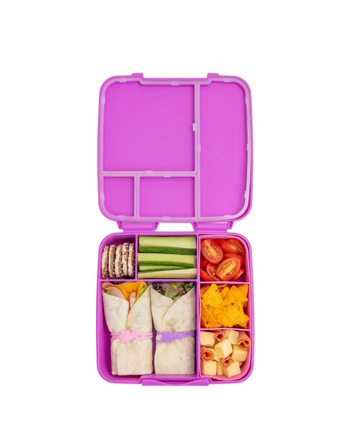 Montiico Feast Bento Lunch Box - Fuchsia
