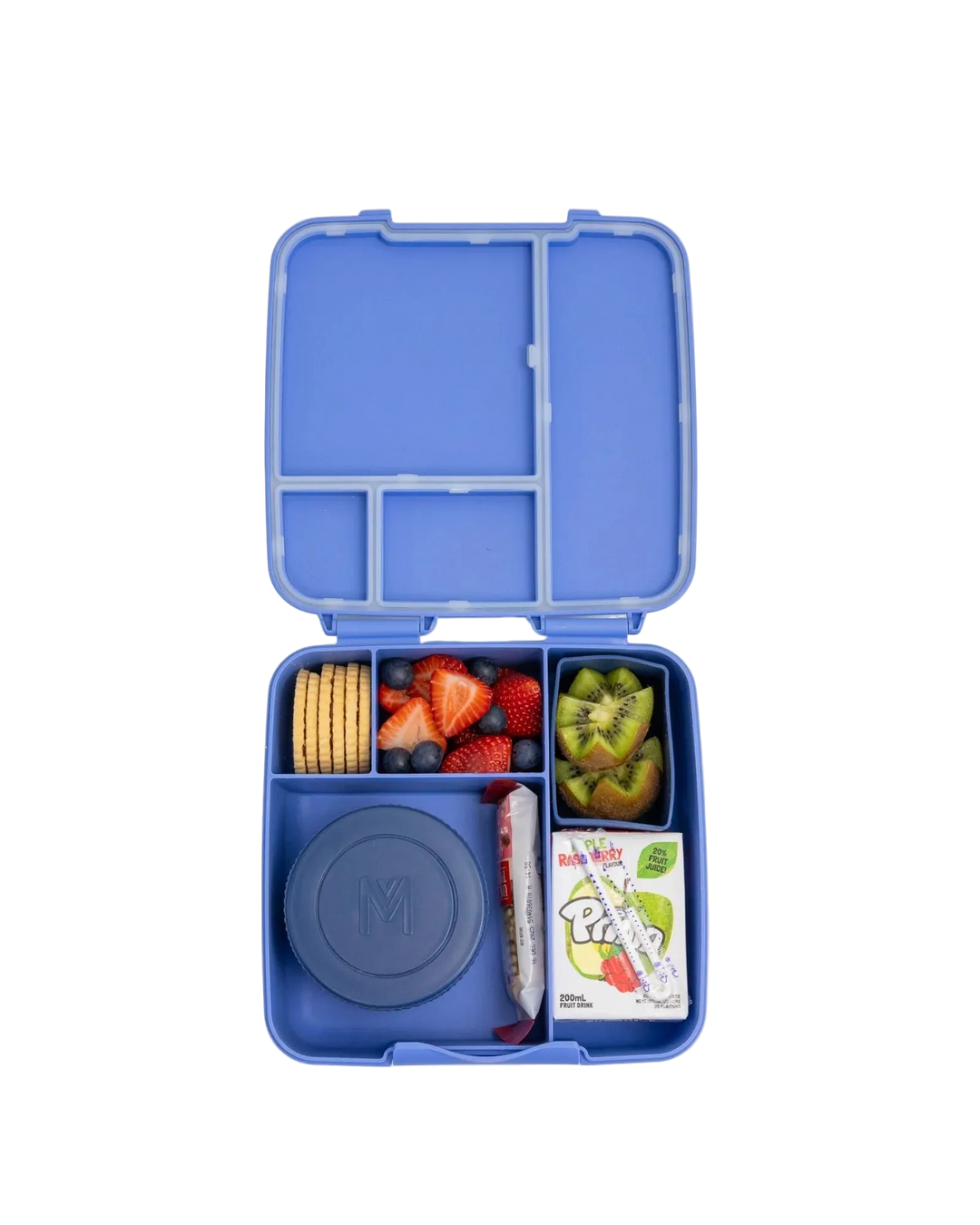 Montiico Feast Bento Lunch Box - Splash