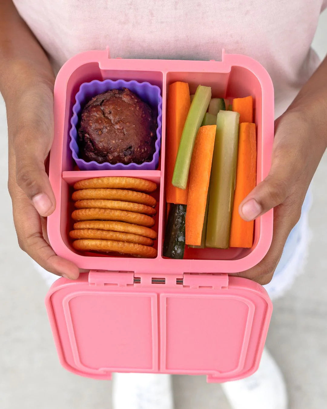 Montiico Lunch Bento Cups 3 Pack - Assorted