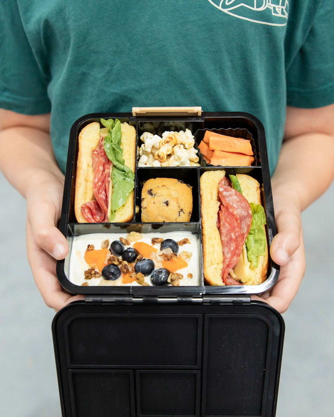 Montiico Bento Five Lunch Box - Dinosaur Land