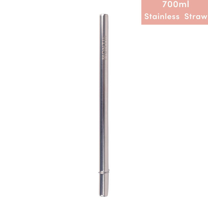 MontiiCo Fusion Smoothie Stainless Steel Straw