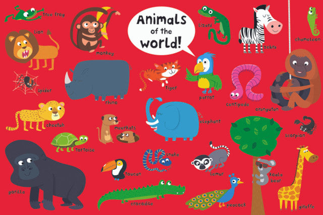 My Enormous Book of Everything Jumbo Board Book