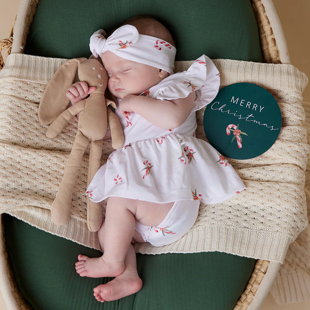 My First Christmas Reversible Milestone Card - Candy Cane