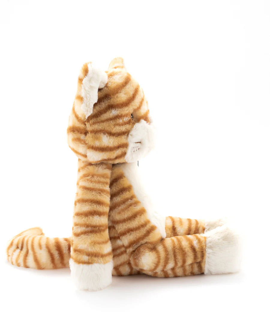 Nana Huchy Ginger the Cat