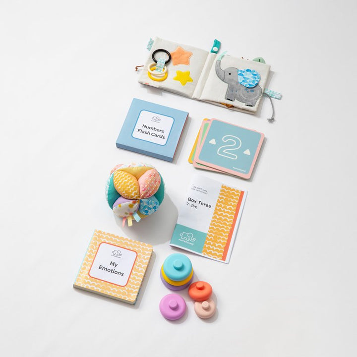 Nurturing & Thoughtful Play Toy Starter Pack Box 3 | 7-9 Months