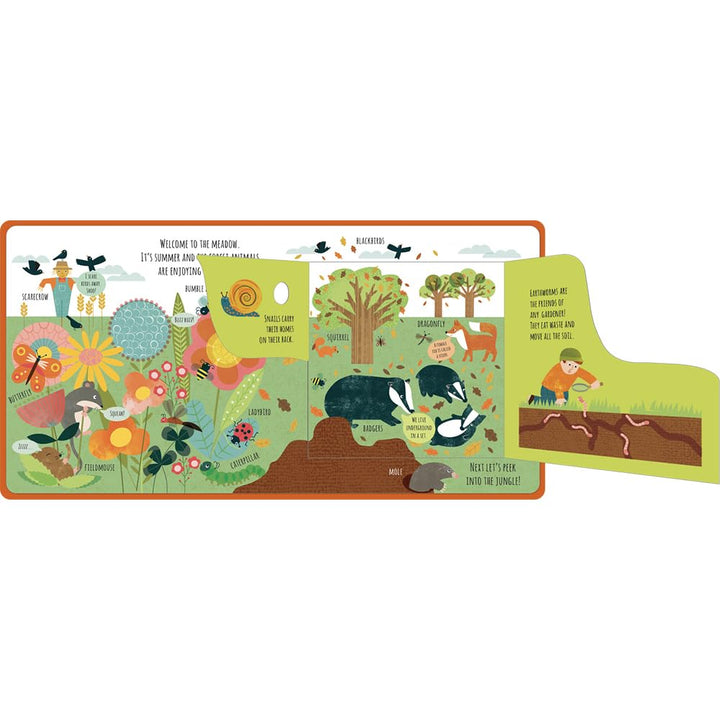 Peek Inside The Wild Board Book