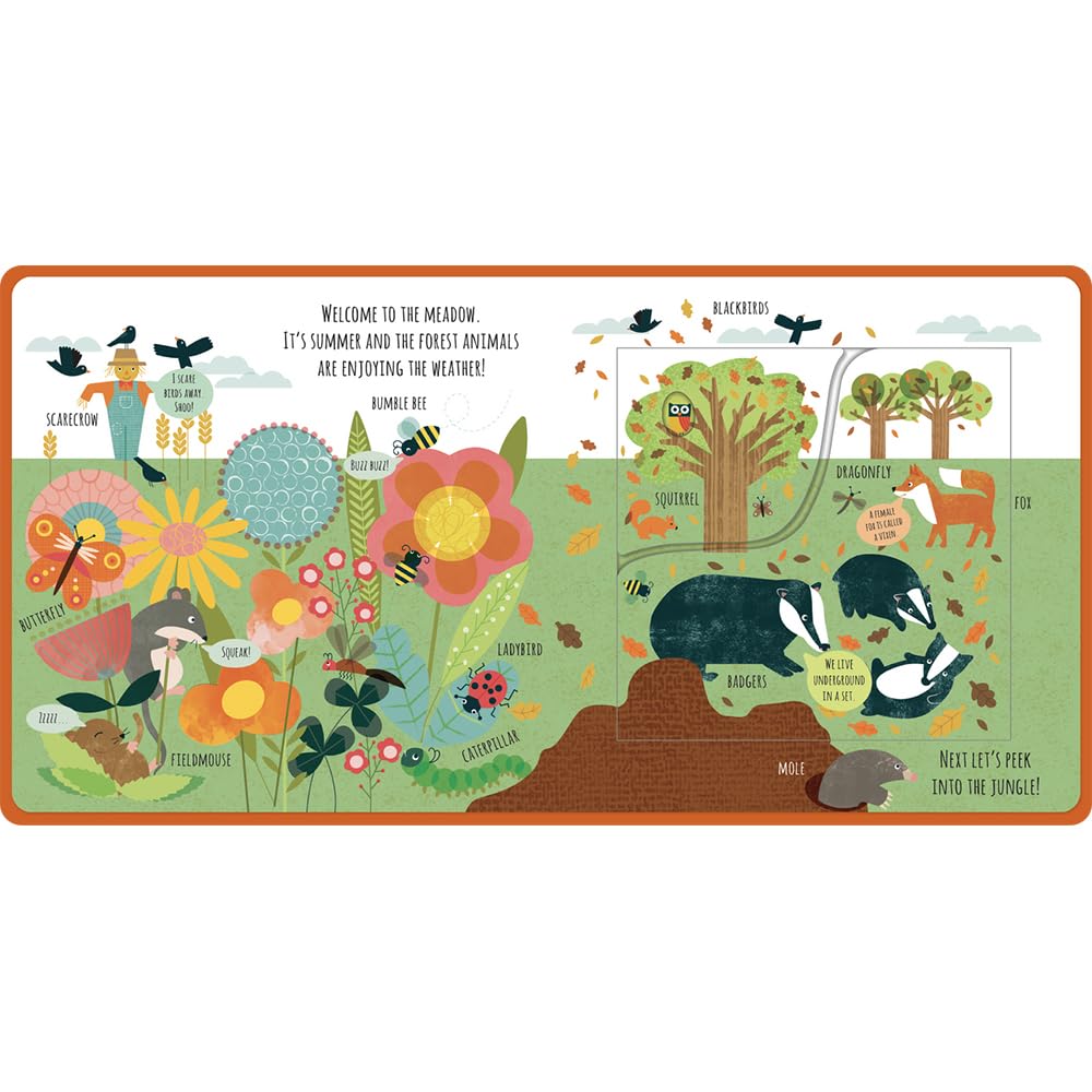 Peek Inside The Wild Board Book