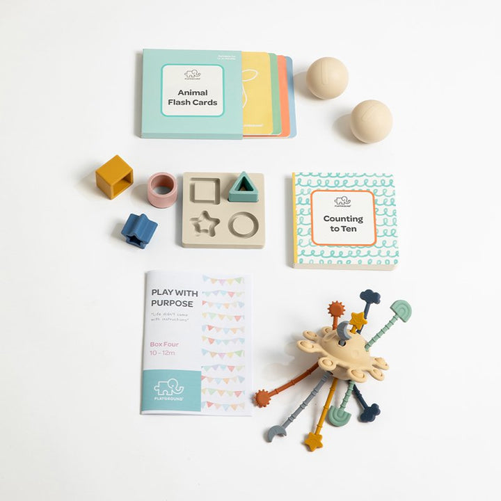 Play with Purpose Toy Starter Pack Box 4 | 10-12 Months