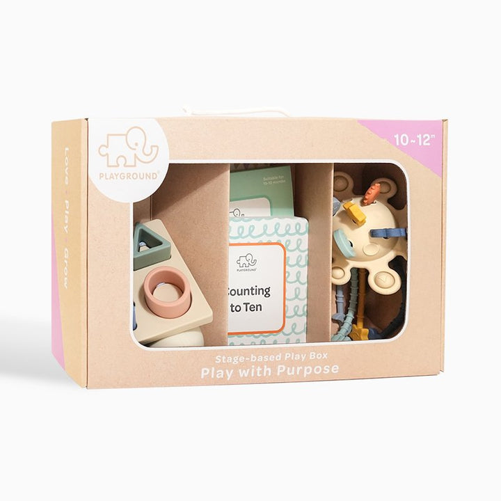 Play with Purpose Toy Starter Pack Box 4 | 10-12 Months