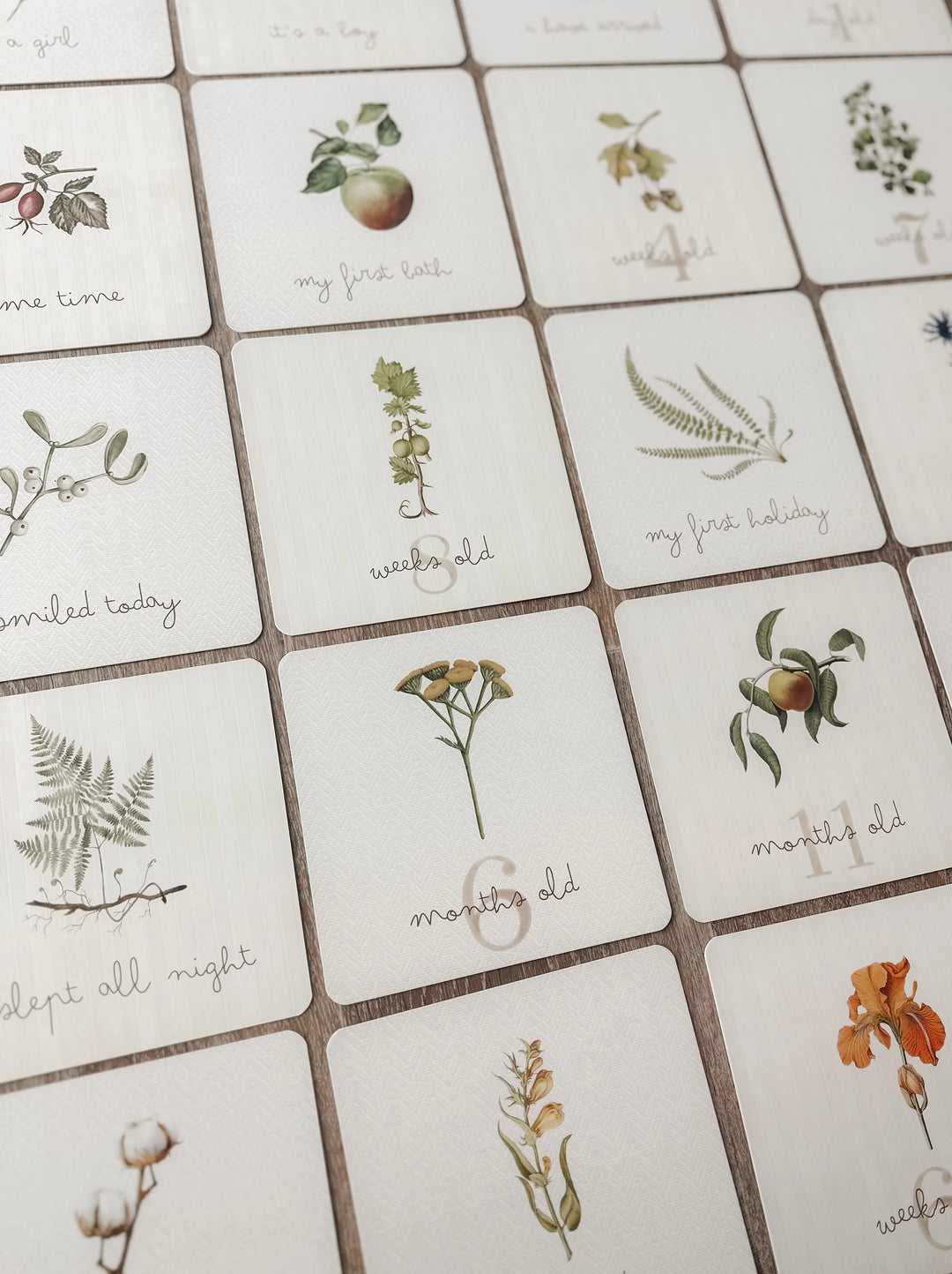 Pop Ya Tot Botanical Milestone Card Set