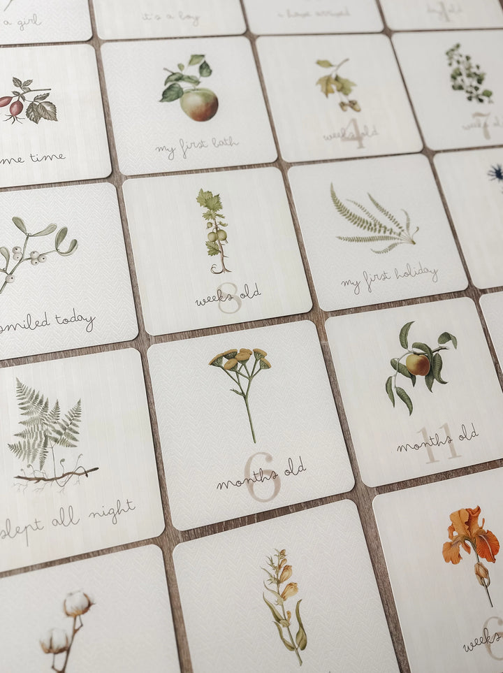 Pop Ya Tot Botanical Milestone Card Set