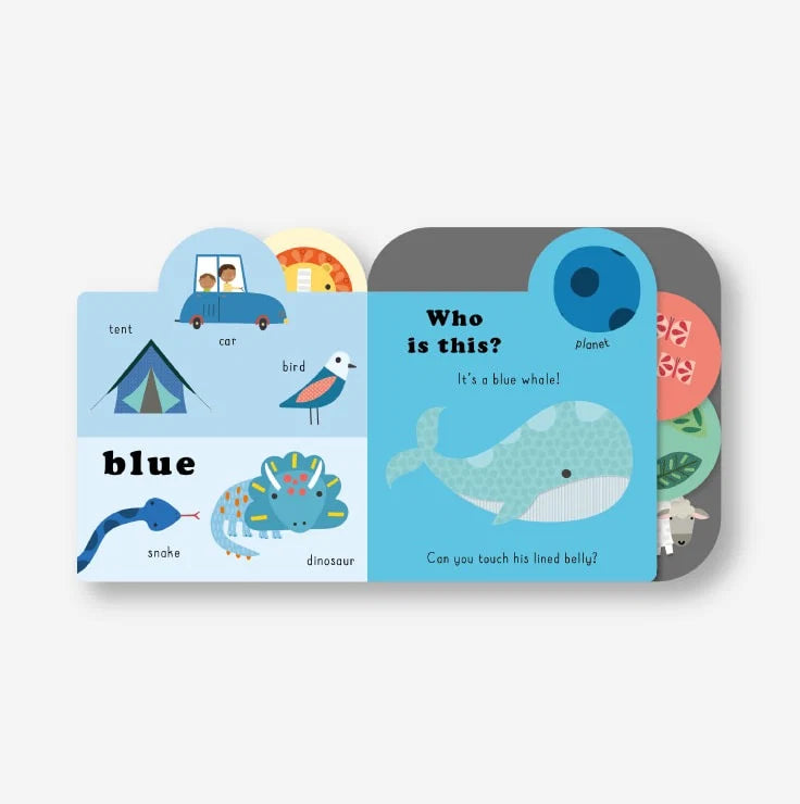 Touchy Feelies Board Book - Colours