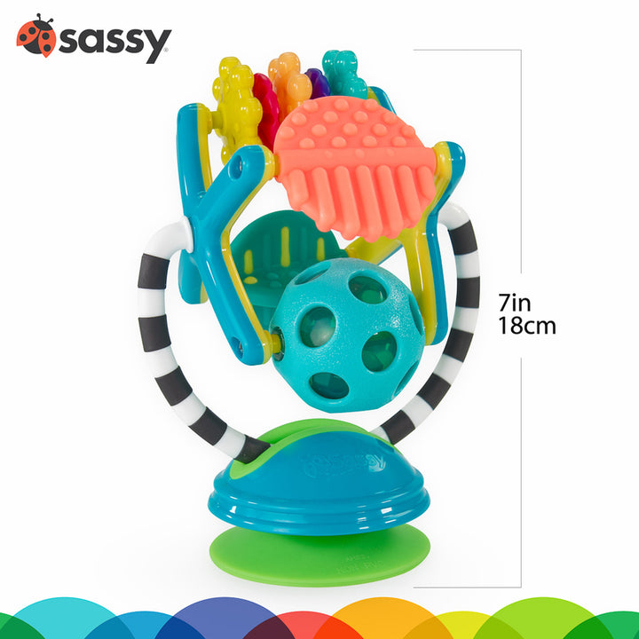 Teethe and Twirl Sensation Toy
