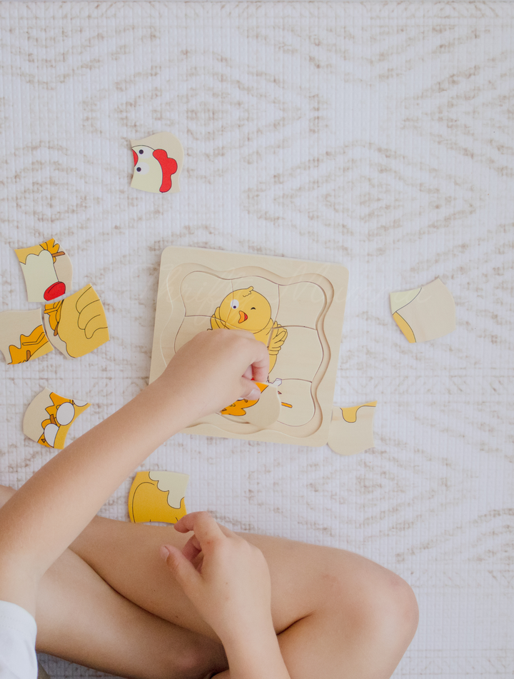 Timber Chicken & Egg Life Cycle 4 Layer Puzzle