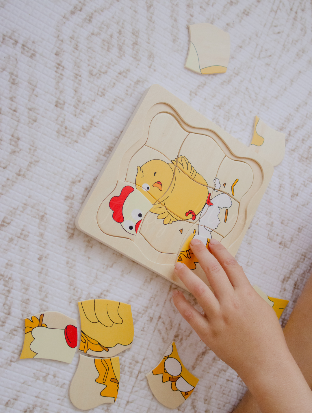 Timber Chicken & Egg Life Cycle 4 Layer Puzzle