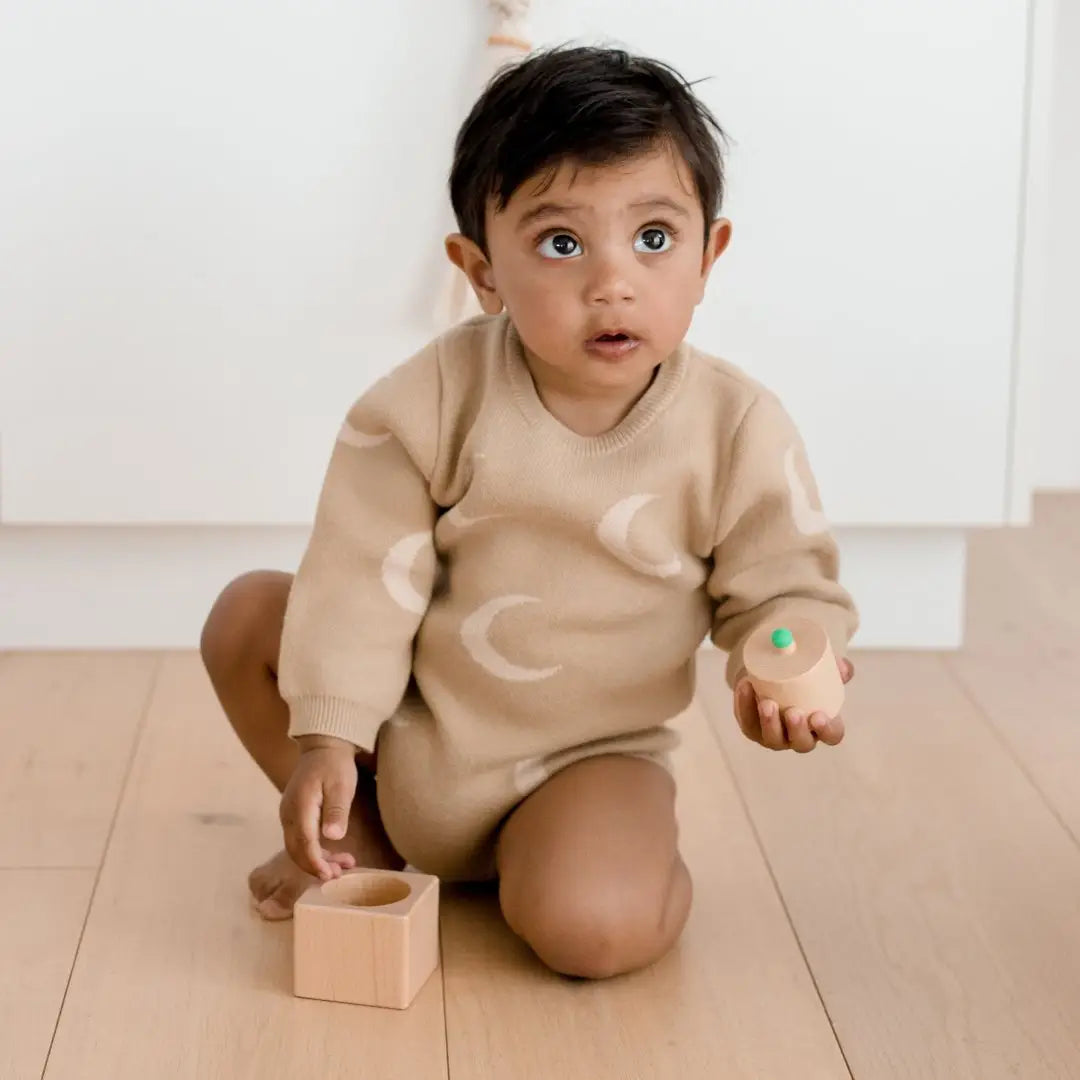 Totli Montessori Style Wooden Pincer Puzzle
