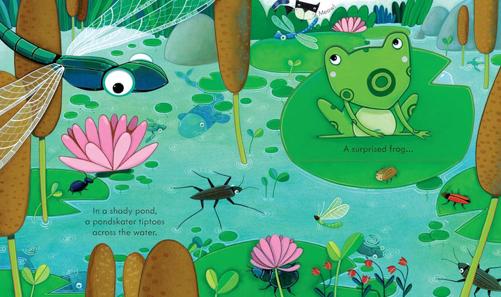 Usborne Peep Inside the Garden Board Book