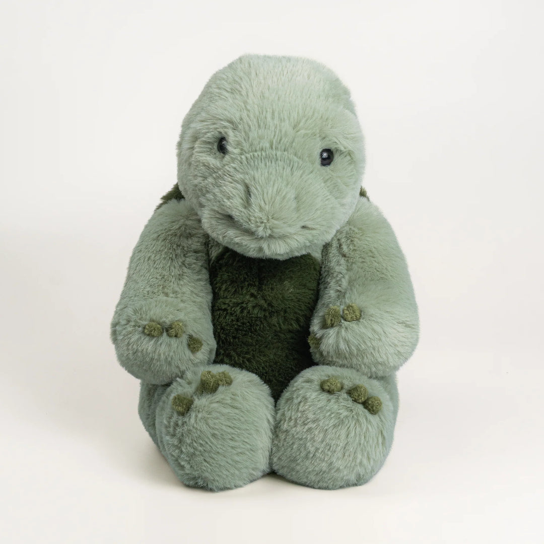 Wonderlings Tortoise Plush Toy - 1968 Cosmo
