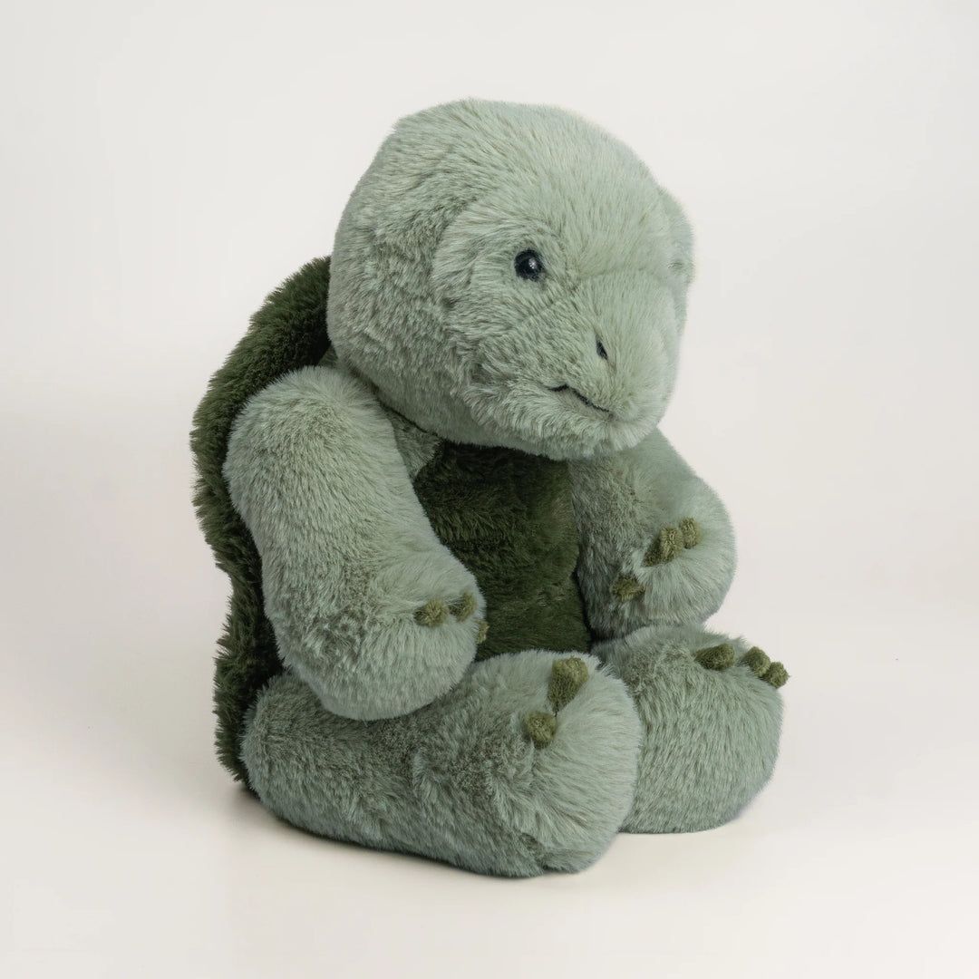 Wonderlings Tortoise Plush Toy - 1968 Cosmo