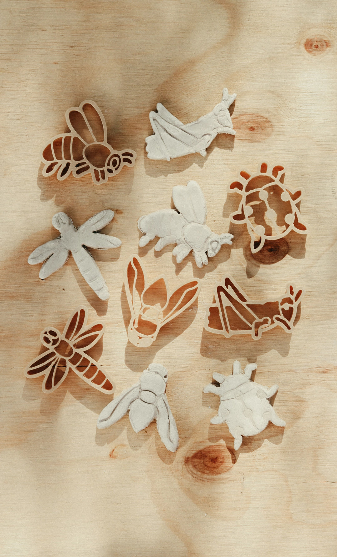 Mini Insect Playdough/Sensory Play Eco Cutter™ Set