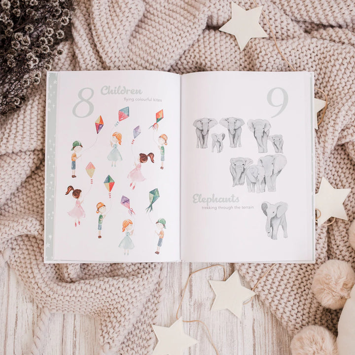 Adored Illustrations The Amazing 123 Hardcover Book