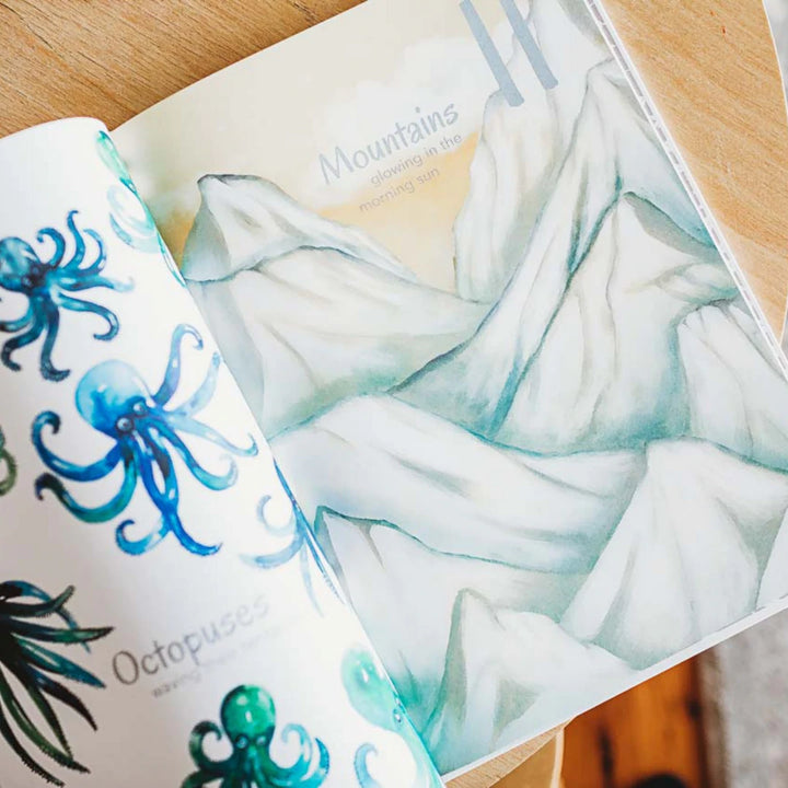 Adored Illustrations The Incredible 123 Hardcover Book