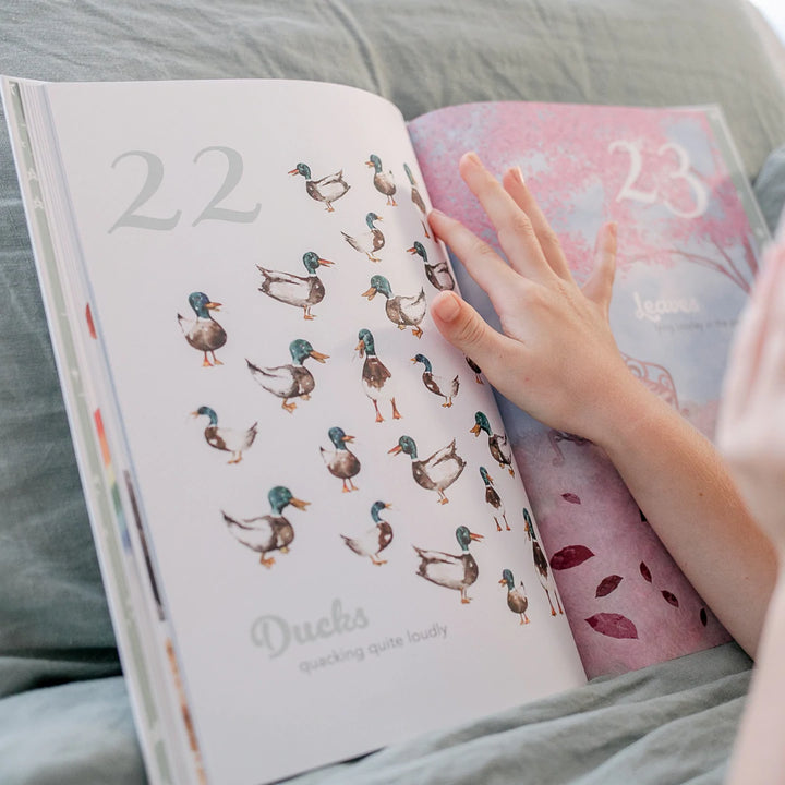 Adored Illustrations The Amazing 123 Hardcover Book