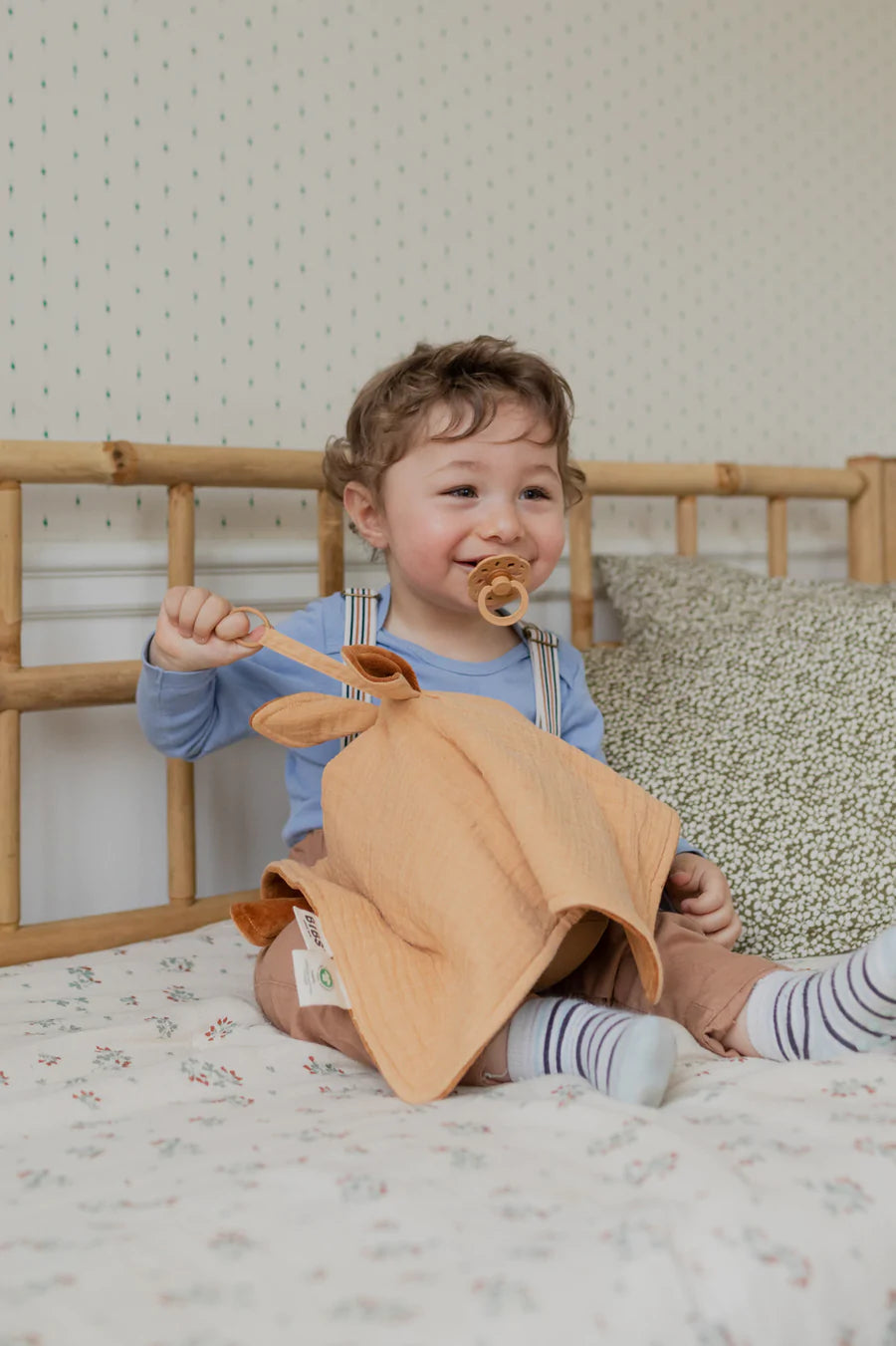 BIBS Kangaroo Cuddle Cloth Comforter & Dummy Holder - Assorted