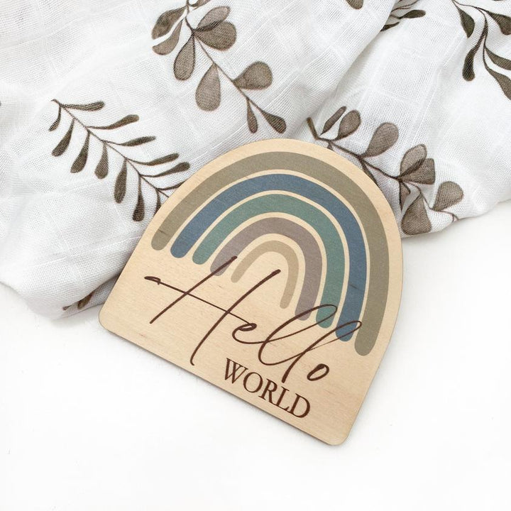 Timber Baby Announcement Milestone Plaques - Rainbow Series