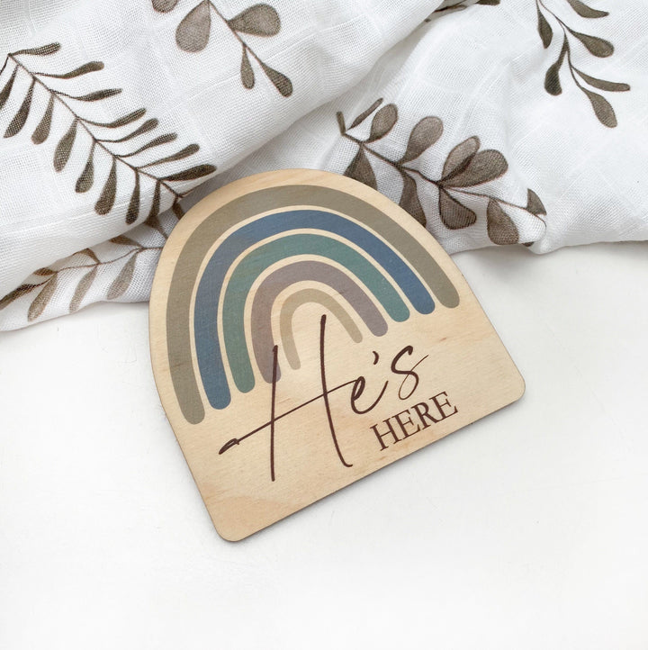 Timber Baby Announcement Milestone Plaques - Rainbow Series