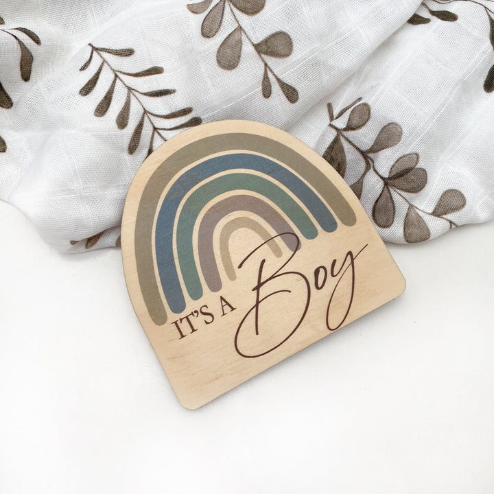 Timber Baby Announcement Milestone Plaques - Rainbow Series