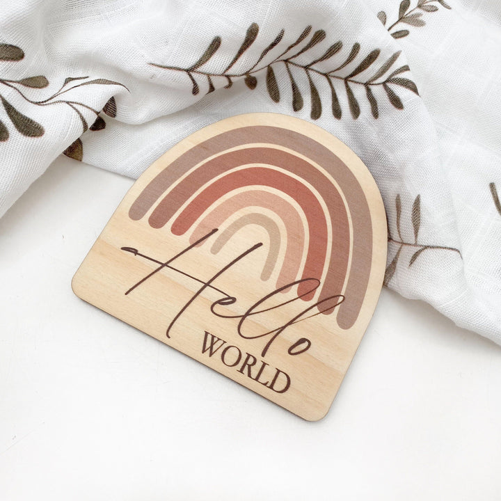 Timber Baby Announcement Milestone Plaques - Rainbow Series