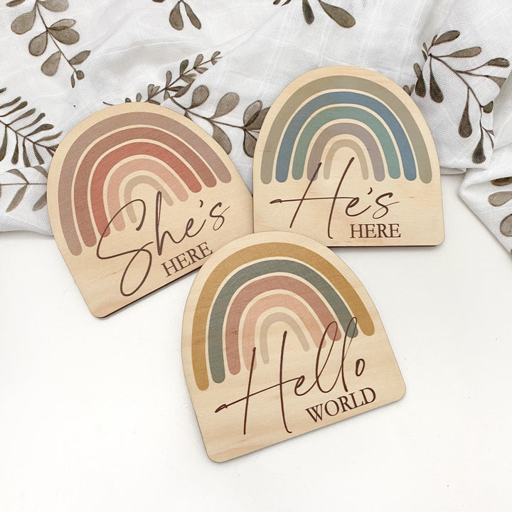 Timber Baby Announcement Milestone Plaques - Rainbow Series