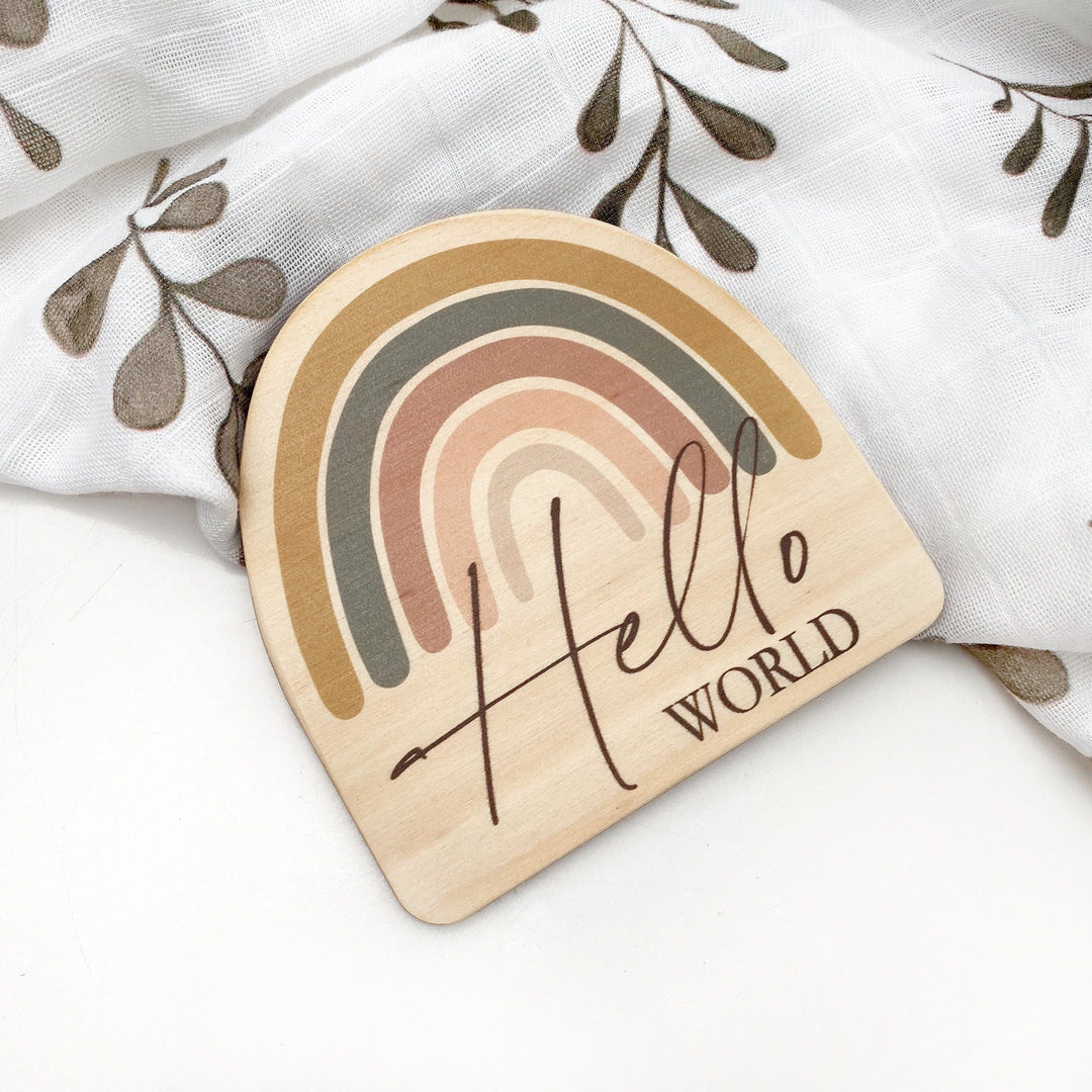 Timber Baby Announcement Milestone Plaques - Rainbow Series