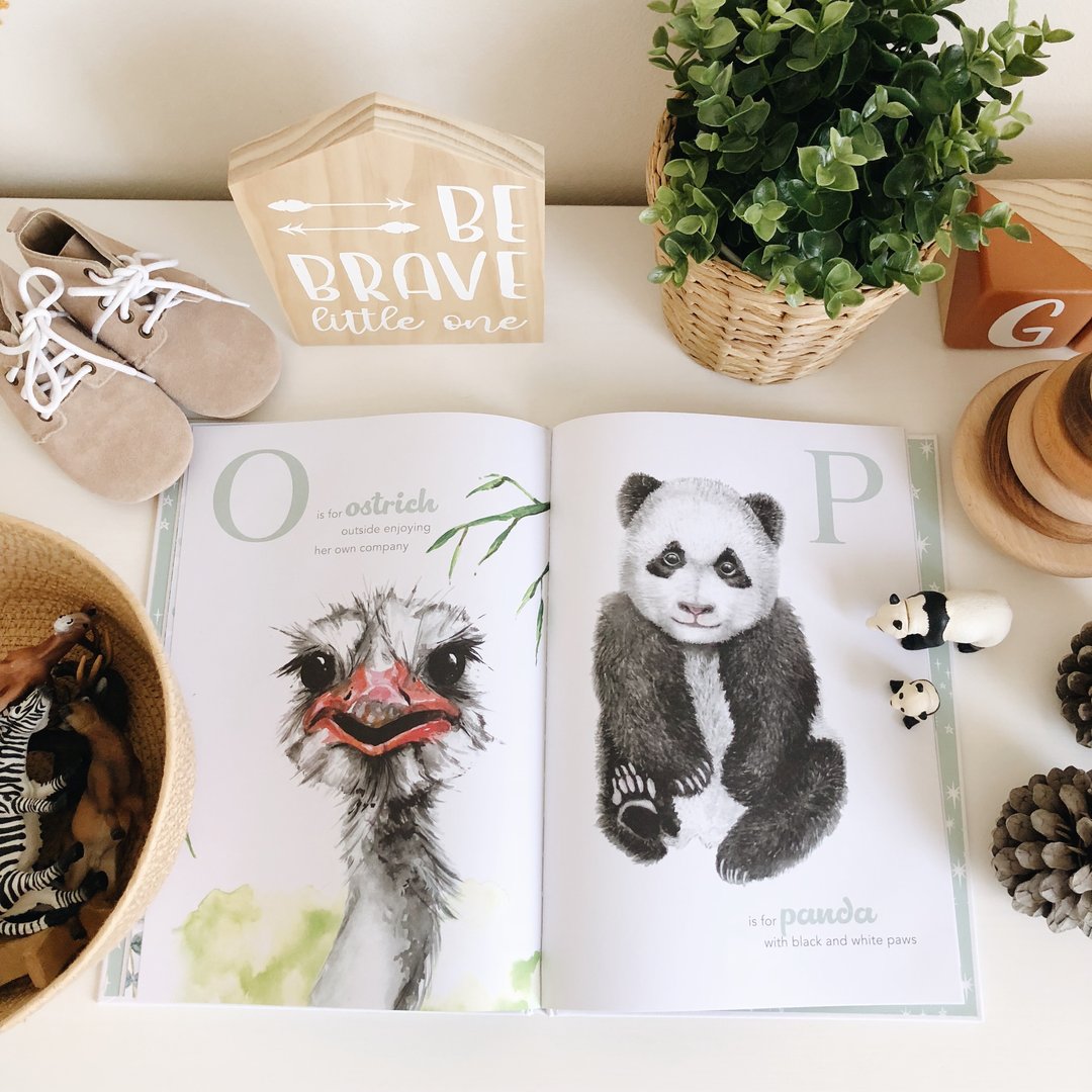 Adored Illustrations The Amazing ABC Hardcover Book