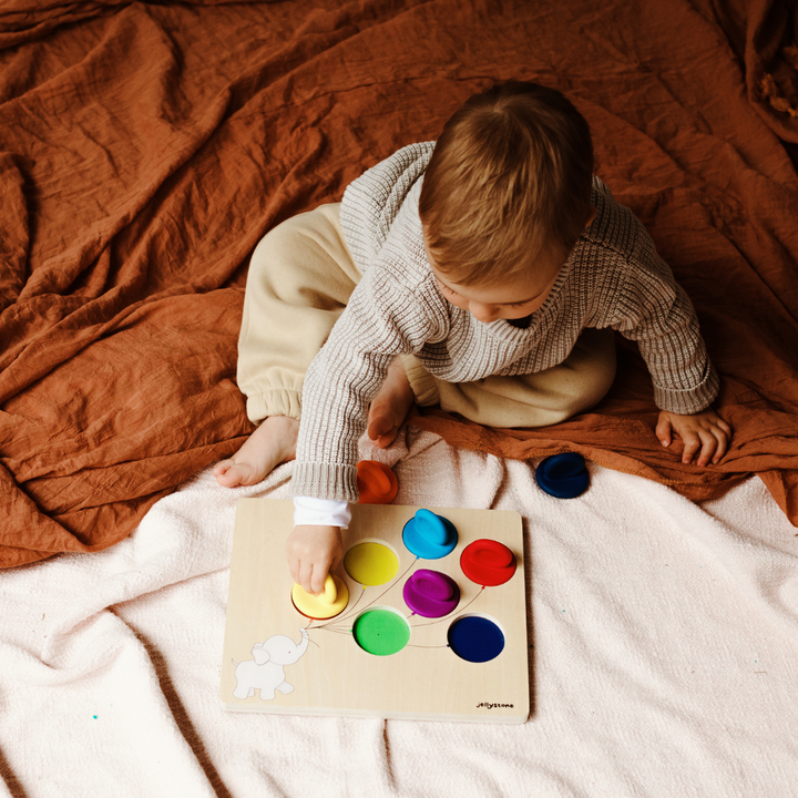 Jellystone Balloon Colour Sorter Puzzle - Rainbow Bright