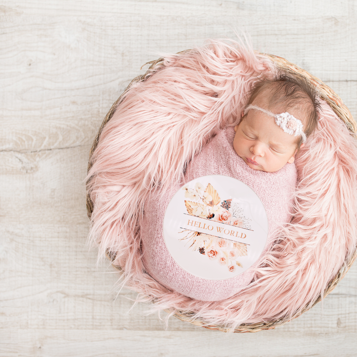 Wooden Announcement Plaque - Hello World Floral